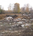 В Кировской области ликвидировали 50 стихийных свалок
